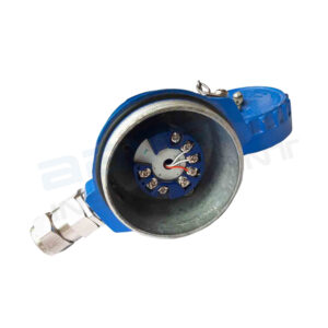 RTD With Temperature Transmitter